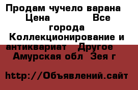 Продам чучело варана. › Цена ­ 15 000 - Все города Коллекционирование и антиквариат » Другое   . Амурская обл.,Зея г.